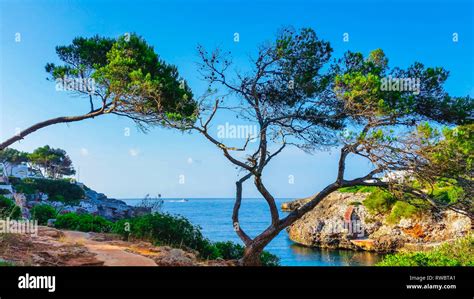 Beach Of Mallorca Cala Dor Stock Photo Alamy