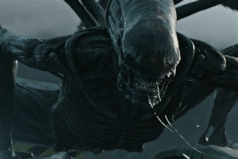 Alien 7 Fecha De Estreno Y Todo Lo Que Hay Que Saber Sobre La Nueva Película De La Saga Cine