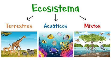 🌿 ¿qué Son Los Ecosistemas 🌎 Tipos De Ecosistemas 🐠 Fácil Y Rápido Youtube