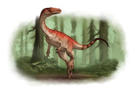 Draw Dinovember Day 21 Coelophysis By Daitengu On DeviantArt Dinosaur