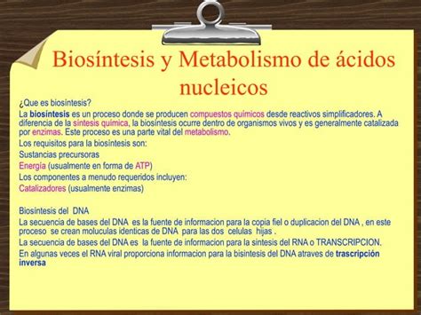 Bios Ntesis Y Metabolismo De Cidos Nucleicos Ppt