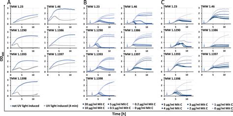 Growth Curves Of L Sakei Strains With Inducible Lysis After Induction