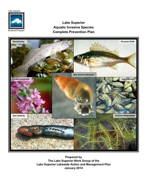 Lake Superior Aquatic Invasive Species Complete Prevention Plan Docslib