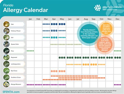 Allergy Season Calendar - Rina Veriee