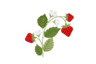 Strawberry Patch SVG Cut file by Creative Fabrica Crafts · Creative Fabrica