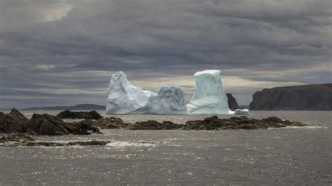 Newfoundland Icebergs from June 2019 — Lynda's Photography