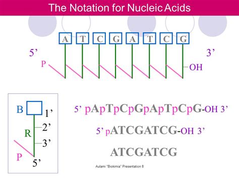 Aulami Biokimia Presentation Aulanniam Biochemistry Laboratory