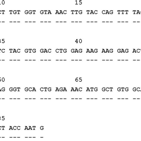 Alignment Of The Sequence Of Exon 3 Of HLADRB3 02 174 With The