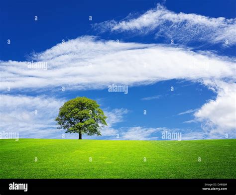 Green nature landscape Stock Photo - Alamy