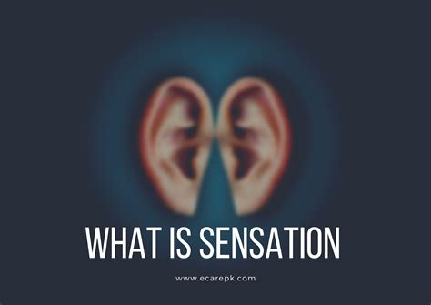 What is Sensation? Sensation and Perception with Sensory Thresholds