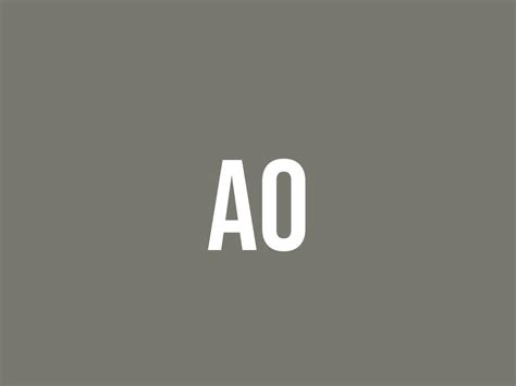 What Does Ao Mean? - Meaning, Uses and More - FluentSlang
