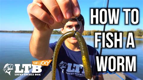 Bass Fishing Tips How To Fish A Plastic Worm Youtube