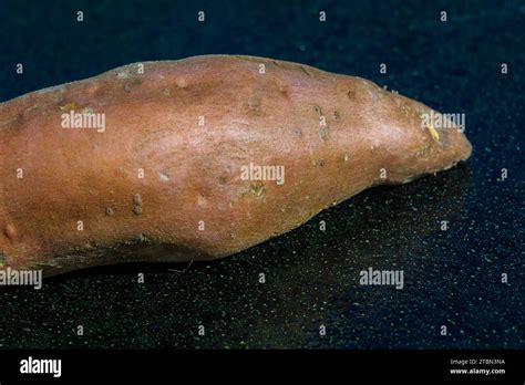 Sweet Potato Or Batat Close Up Photo Stock Photo Alamy