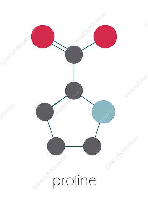 Proline Amino Acid Molecule Illustration Stock Image F