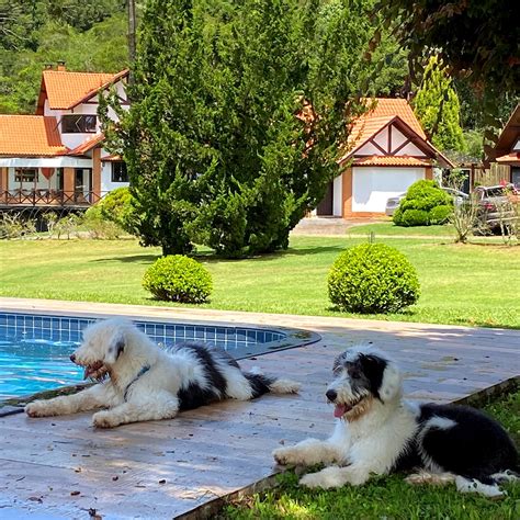 Pousada Pet Friendly Mg