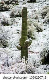 Snow Arizona Desert Stock Photo 1326250742 | Shutterstock