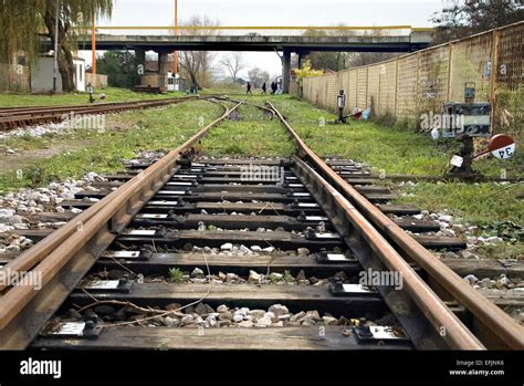 train switches  installation     run trains