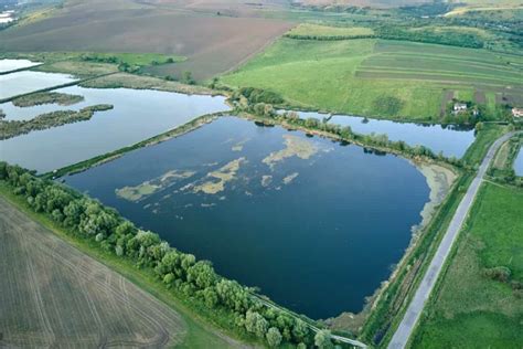 Building A Farm Pond In India A Comprehensive Guide To Uses