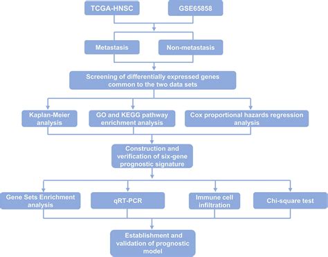 Frontiers Establishment And Validation Of A Comprehensive Prognostic