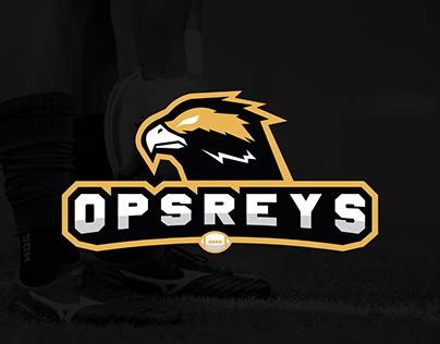 Ospreys Rugby Rebrand Projects :: Photos, videos, logos, illustrations ...