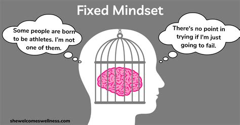 20+ Fixed And Growth Mindset Examples: Find Out Which Mindset You Have ...