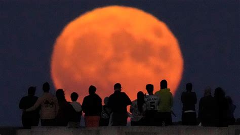 Harvest moon: How to watch the supermoon, lunar eclipse Tuesday | kgw.com