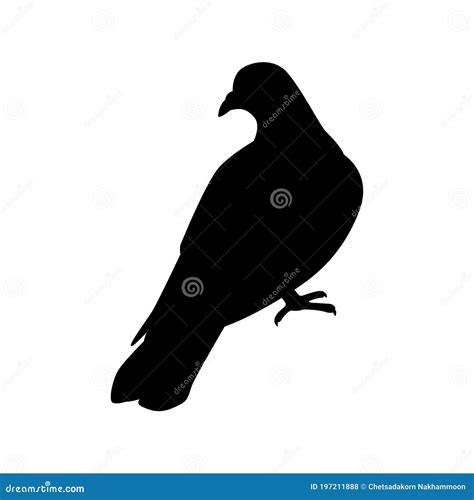 Pigeon Silhouette Vector Stock Vector Illustration Of Closeup