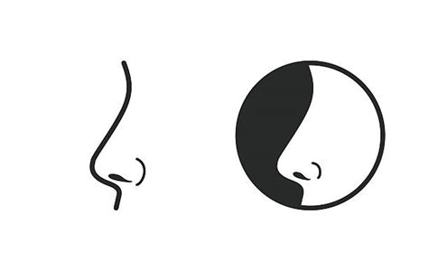 Best Nose Illustrations Royalty Free Vector Graphics And Clip Art Istock