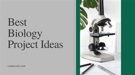 35+ Best Biology Project Ideas For Students