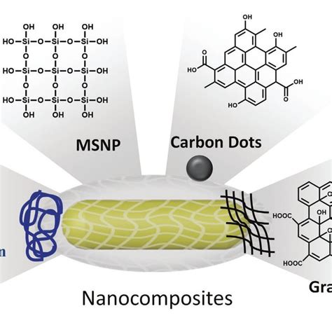 Schematic Representation Of Various Gnr Modification Methods For