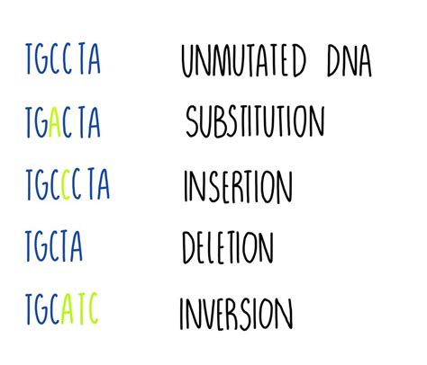 Mutations and Gene Expression AQA — the science hive