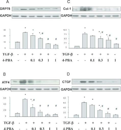 4 Pba Attenuated Er Stress Related Molecules And Fibrosis Markers Download Scientific Diagram