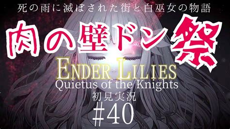 40【初見実況】chapter 6：肉の壁ドン祭り｜ender Lilies：quietus Of The Knights Youtube