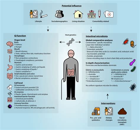 Age Dependent Changes In Gi Physiology And Microbiota Time To