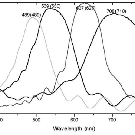 Reflectance Spectra Of Four Different Porous Silicon Multilayer Stacks