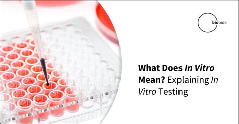 Pdf An In Vitro Study To Test Antimicrobial Effects Of Commiphora Hot