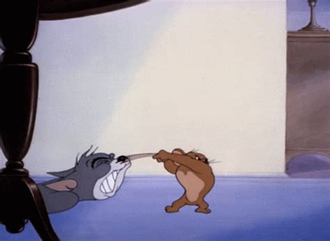 Tom and jerry fight gif tom and jerry fight mouse discover share gifs – Artofit