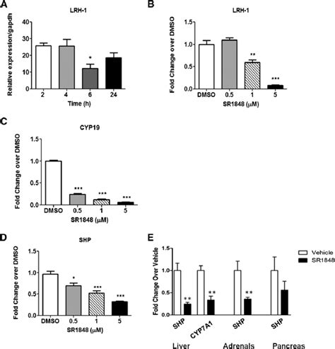 Sr Inhibits Lrh Target Genes In Vitro And In Vivo A Lrh Mrna