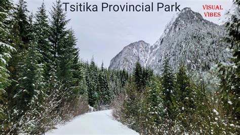 Tsitika Provincial Park By Logging Roads During Winter Snowfall Youtube