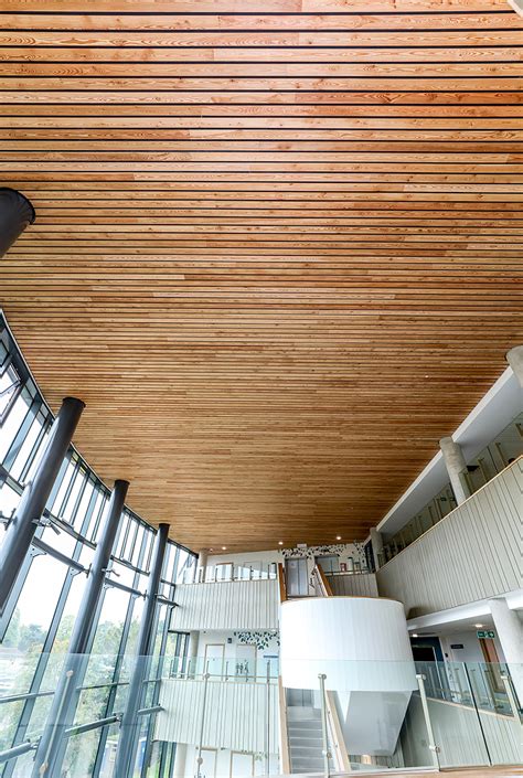 Linear Wood Ceiling Installed At A New Million Hospital