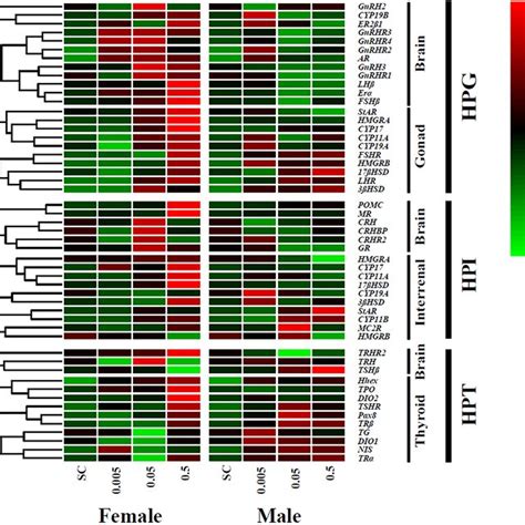 Sex‐dependent Response Profile In Adult Zebrafish After Exposure To