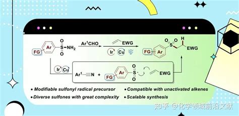 中山大学罗勇课题组organic Letters：铜光氧化还原双催化烯烃与磺酰亚胺的氢磺酰化反应 知乎