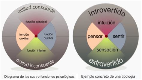 Tipos Psicológicos De Jung Fundación Sonría