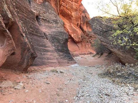 Red Reef Trail Lower Red Cliffs Recreation Area Leeds Ut Hike