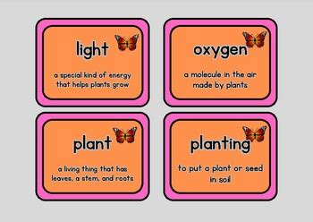 Grade Plant Science Vocabulary Flash Cards By Professional Designer