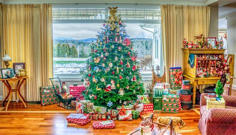 Free Images Indoor Holiday Christmas Tree Interior Design