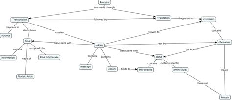 Protein Concept Map