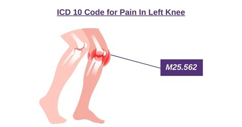 ICD 10 Codes For Knee Pain