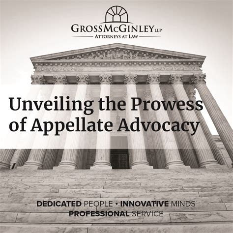 Unveiling The Prowess Of Appellate Advocacy Meet Veronica R Hogan And