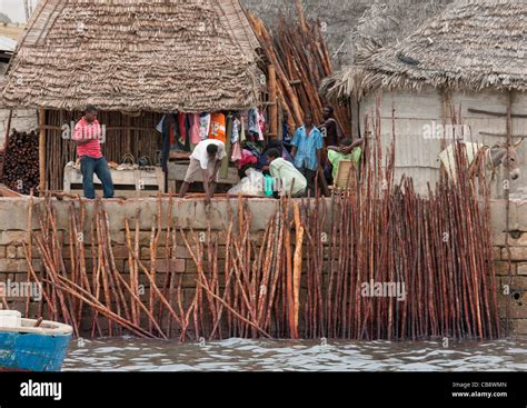 Outdoors mangrove roofer woodsticks hi-res stock photography and images - Alamy